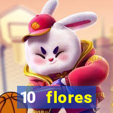 10 flores silvestres do nordeste